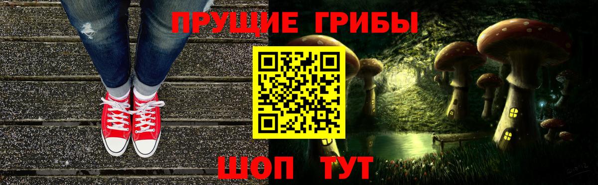 Обнинск  Псилоцибиновые грибы Psilocybe  Вход с VPN 